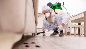 Pest Control for Hotels in Indian Springs, GA